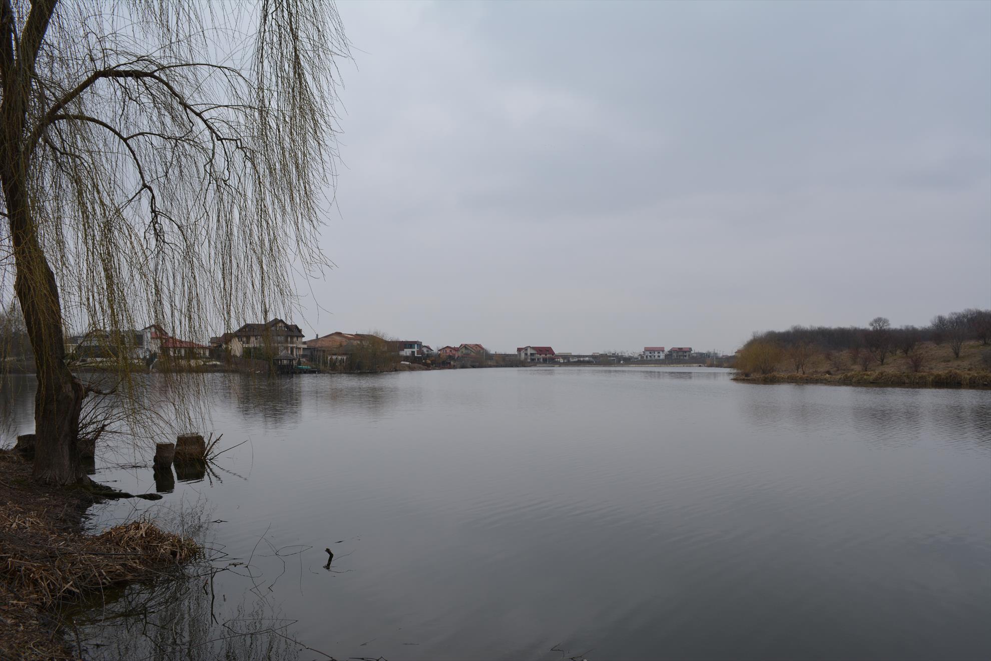 Partida 26.02.2014 - dsc0010.JPG